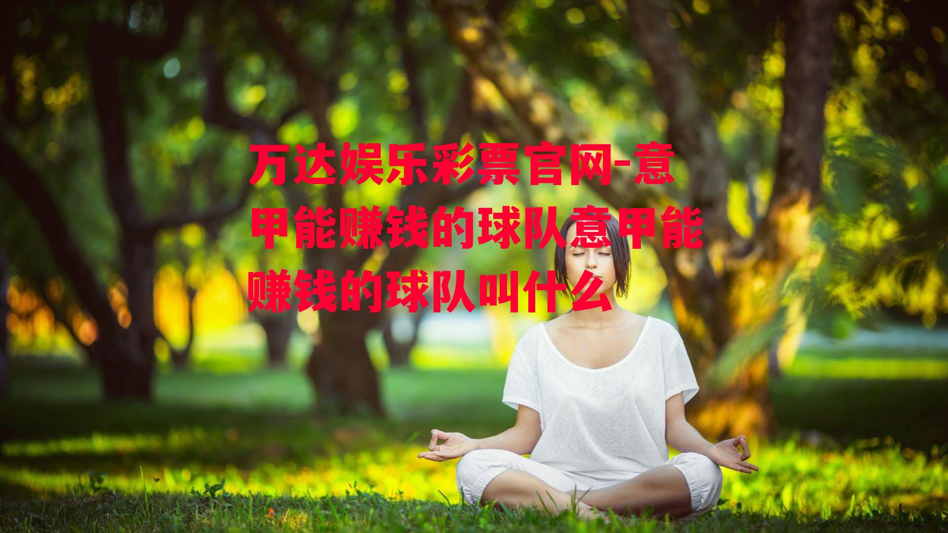 意甲能赚钱的球队意甲能赚钱的球队叫什么